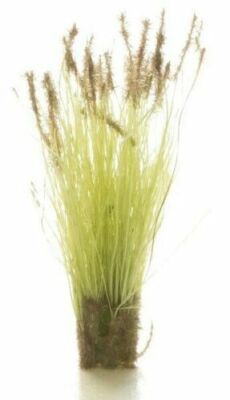 Woodland Scenics ~ Peel 'n' Place Tufts ~ Brown Tipped Prairie Grass (20) FS779