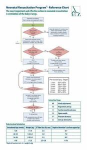 Neonatal Resuscitation Program Reference Chart