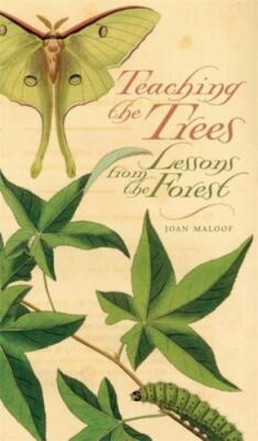 Teaching the Trees: Lessons from the Forest by 