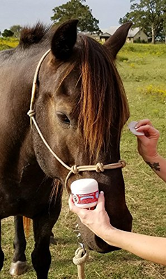 Seamus Medicated Pet Wipe - Chloroxylenol and Ketoconazole – Anti-fungal & - A