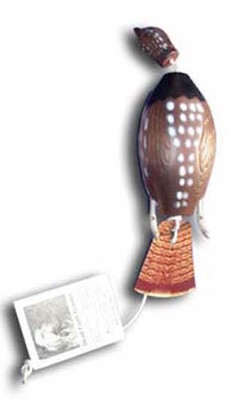 Dokken Dead Fowl Ruffed Grouse Trainer