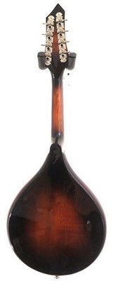 Gold Tone Model GM-A+ 8 String Rigel A-Style Mandolin, Solid Maple - NEW