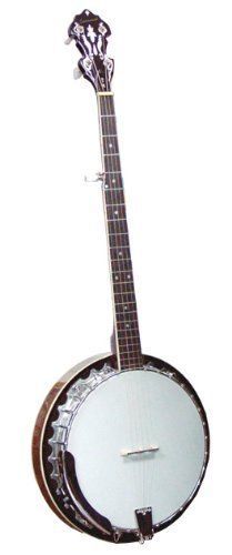 Samick YV560-TGR 24 frets | eBay