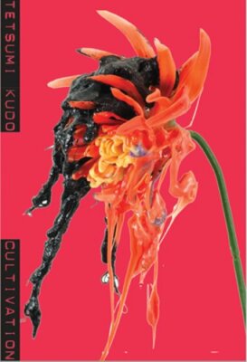 Tetsumi Kudo: Cultivation by Tetsumi Kudo: New