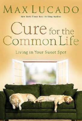 Cure for the Common Life: Living in Your Sweet Spot - Hardcover - GOOD