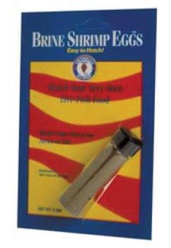 Invertebrados Camarón Huevo Comida para Peces