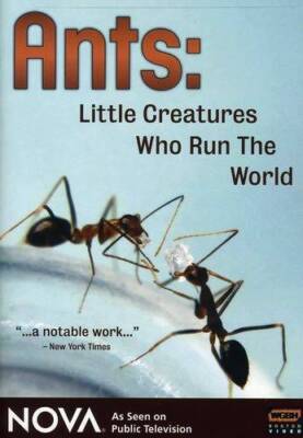 NOVA: Ants - Little Creatures Who Run the World - DVD - VERY GOOD