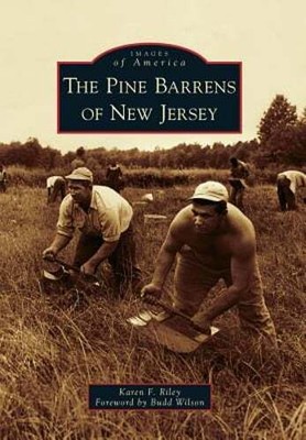 The Pine Barrens of New Jersey by Karen F Riley: New