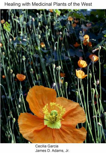 Healing with Medicinal Plants of the West - Cultural and Scientific ...
