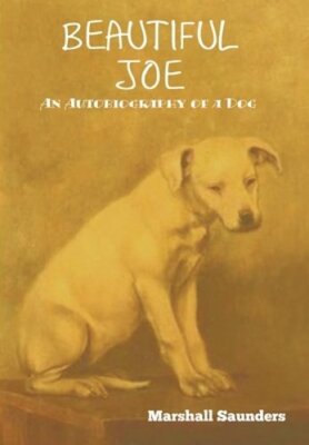 Beautiful Joe by Marshall Saunders: New