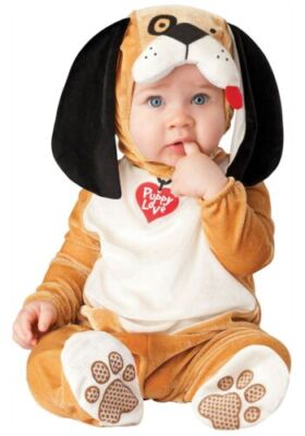 In Character Infant Puppy Love Custome Large 18-24 Months Big Floppy Ears (B228)