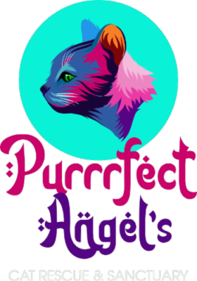Purrrfect Angels rescue inc