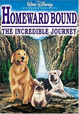 Homeward Bound - The Incredible Journey - DVD -  Very Good - Robert Hays,Jean Sm