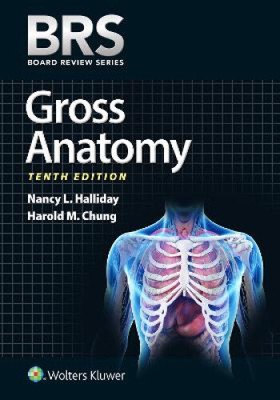 BRS Gross Anatomy (Board Review Series) by Nancy L. Halliday