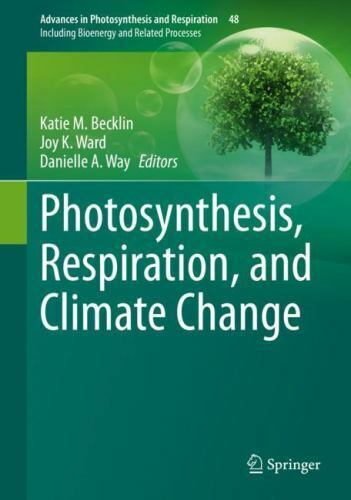 Foto di catalogo