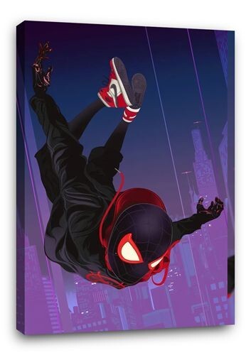 Spider-man Across The Spider-Verse BB7 CANVAS Wall Art Poster 30