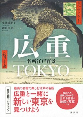 HiroshigeTOKYO One Hundred Famous Views of Edo　from　japan