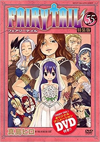 FAIRY TAIL コミック 1-55巻セット (講談社コミックス) コミック FAIRY TAIL Vol.55 Limited Edition Manga Comic w/Anime DVD