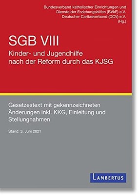 Sgb Viii - Kinder- Und Jugendhilfe Nach Der Reform Durch Da (UK IMPORT) Book NEW