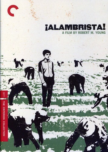 Alambrista! (Criterion Collection) (DVD, 1977)