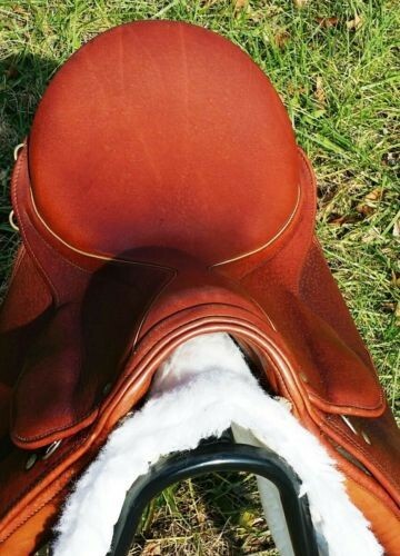 Courbette 17 inch English dressage saddle with leathers