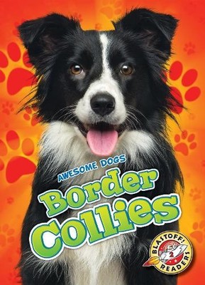 Border Collies (Awesome Dogs) by Rebecca Sabelko [Hardback]