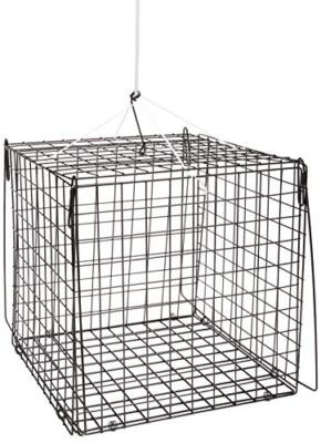 SOUTH BEND F210 Hr Crab Trap Sq 10.5X10.5X10.5 Multi One Size