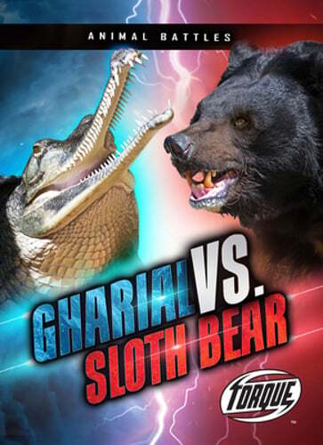 Gharial vs. Sloth Bear by Nathan Sommer: New