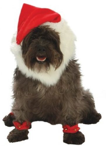 goDog Dog Christmas Costumes
