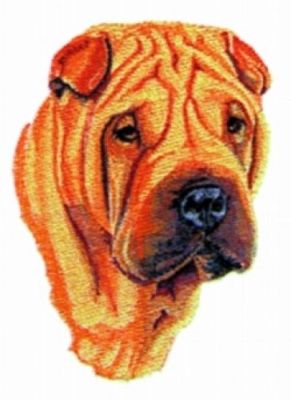 Shar pei cheap jacket