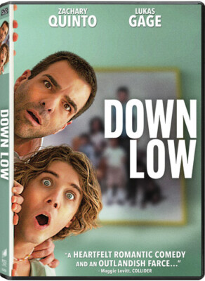 Down Low [New DVD]