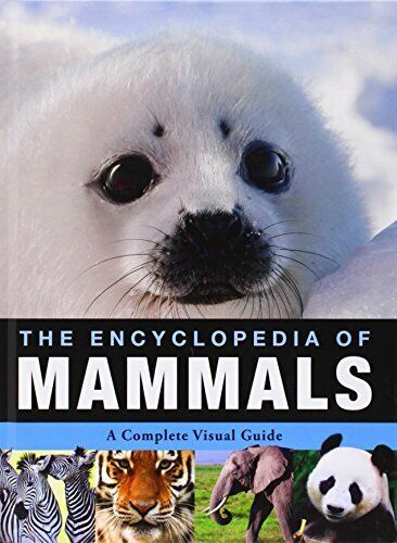 Encyclopedia Of Animals - Mammals By Red Lemon Press Book The Fast Free Shipping