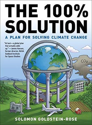 The 100% Solution: A Framework f... by Solomon Goldstein-Ro Paperback / softback
