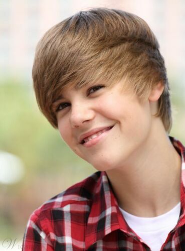 Custom Justin Bieber S Cool Top Quality Short Straight Brown Wig 8