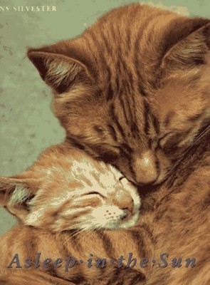 Asleep in the Sun, Silvester, Hans Walter