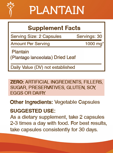 Secrets Of The Tribe Plantain Capsules, 500 mg