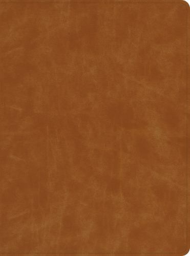 Foto di catalogo