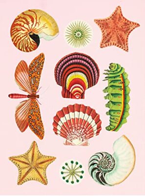 The Antiquarian Sticker Book, Over 1,000 Exquisite Victorian Stickers, 300 pages