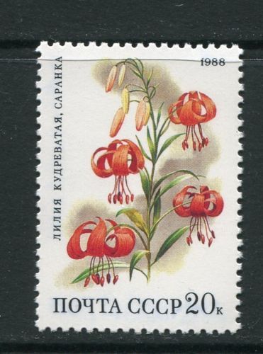Russia and Soviet Union Flowers Stamps