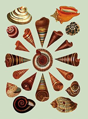 The Antiquarian Sticker Book, Over 1,000 Exquisite Victorian Stickers, 300 pages