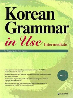 Korean Grammar in Use : Intermediate (Korean edition)