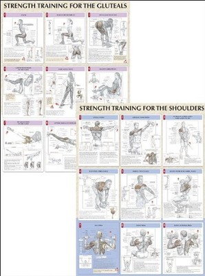 STRENGTH TRAINING ANATOMY POSTER SERIES By Frederic Delavier **BRAND NEW**