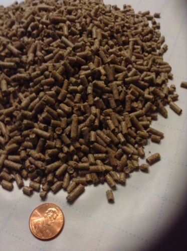 Alimentadores de fondo Estanque Pellet comida para peces