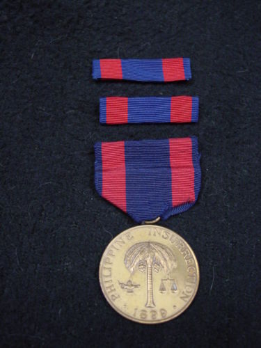 標本 RSA Julodis viridipes 27mm Buprestidae Julodis viridipes (?) 27-28mm A1 from RSA