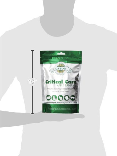 Oxbow Critical Care Apple Banana Pet Supplement 1 lbs