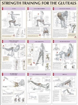STRENGTH TRAINING FOR THE BUTTOCKS POSTER (STRENGTH By Frederic Delavier **NEW**