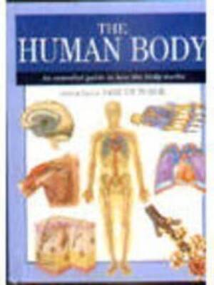 The Human Body: An Essential Guide to How the Body Works (Expert Guide) - GOOD