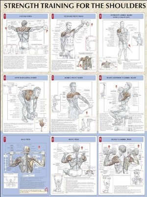 STRENGTH TRAINING FOR SHOULDERS POSTER (STRENGTH TRAINING By Frederic Delavier