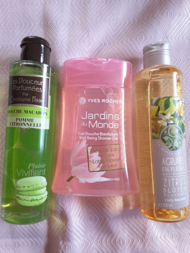 aloe vera pflanze temperaturen Aloe Vera „Alfonso“ – Aloe-Vera-Pflanze in Gärtnerqualität kaufen