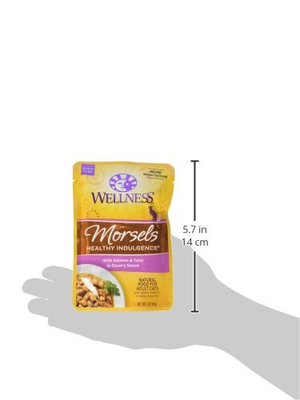 Wellness Healthy Indulgence Natural Grain Free Wet Cat Food, Morsels Salmon & of